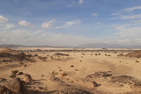 علماء روس في الـ&quot;أنثروبولوجيا&quot; يكتشفون مقابر لـ&quot;عبادة الماشية&quot; يعود تاريخها إلى 6000 عام في السودان - سبوتنيك عربي