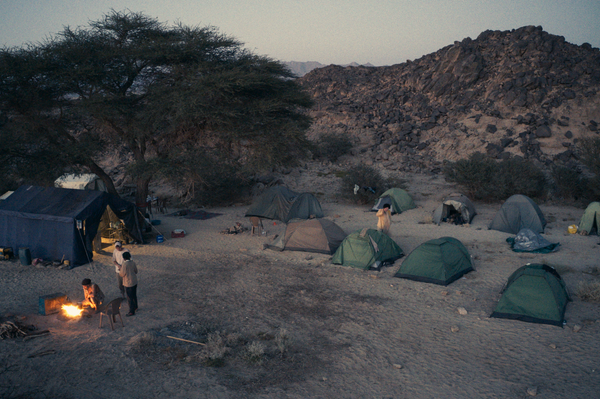 علماء روس في الـ&quot;أنثروبولوجيا&quot; يكتشفون مقابر لـ&quot;عبادة الماشية&quot; يعود تاريخها إلى 6000 عام في السودان - سبوتنيك عربي