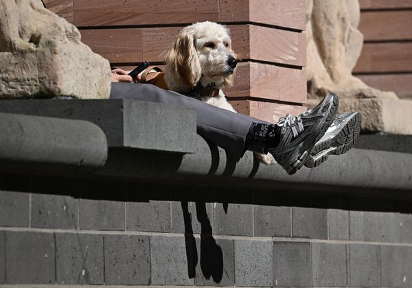 رجل يستمتع بأشعة الشمس والطقس الجميل مع كلبه في ركنٍ من معرض النحت في المتحف التاريخي بوسط المدينة. - سبوتنيك عربي