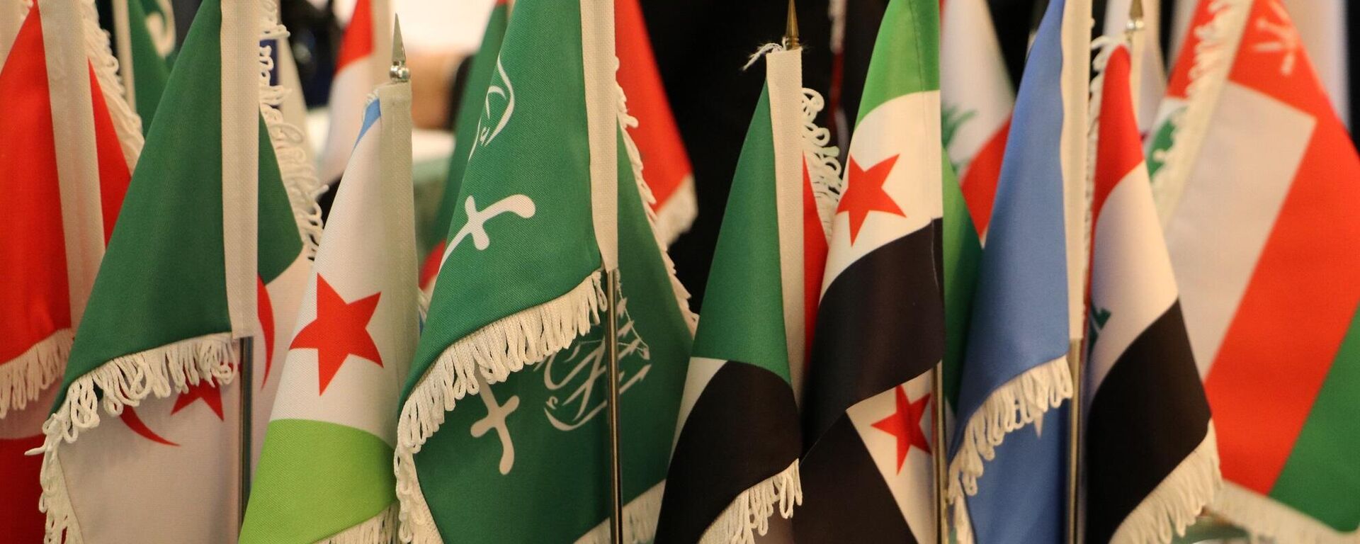 مراسم احتفالية في موسكو بمناسبة مرور الذكرى الـ80 لتأسيس جامعة الدول العربية - سبوتنيك عربي, 1920, 03.09.2025