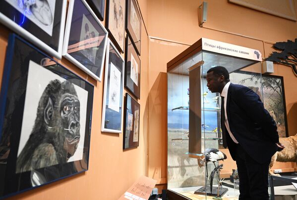 رجل ينظر إلى أحد لوحات  معرض "القارة المظلمة، أو رحلة عبر أفريقيا المتعددة الألوان" بمتحف داروين. - سبوتنيك عربي