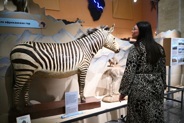 فتاة في افتتاح معرض "القارة المظلمة، أو رحلة عبر أفريقيا المتعددة الألوان" بمتحف داروين. - سبوتنيك عربي