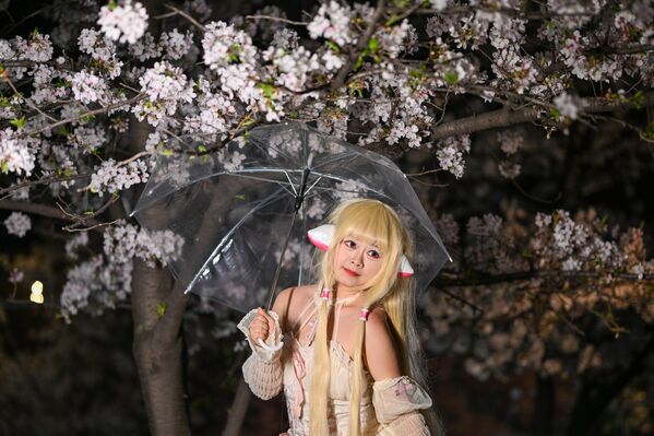 زائرة تلتقط صورا مع أزهار الـ&quot;ساكورا&quot; المتفتحة ليلاً، في معبد &quot;جيمينغ&quot; بمقاطعة جيانغسو الصينية - سبوتنيك عربي