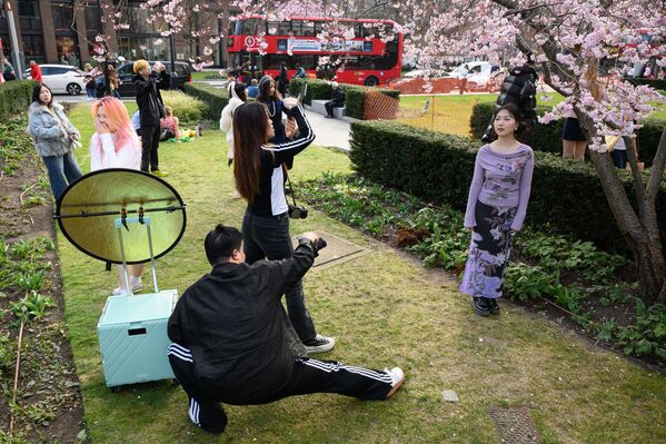 أشخاص يقفون لالتقاط صور فوتوغرافية تحت أزهار الـ&quot;ساكورا&quot; في الحدائق المحيطة بكاتدرائية القديس بولس في لندن - سبوتنيك عربي