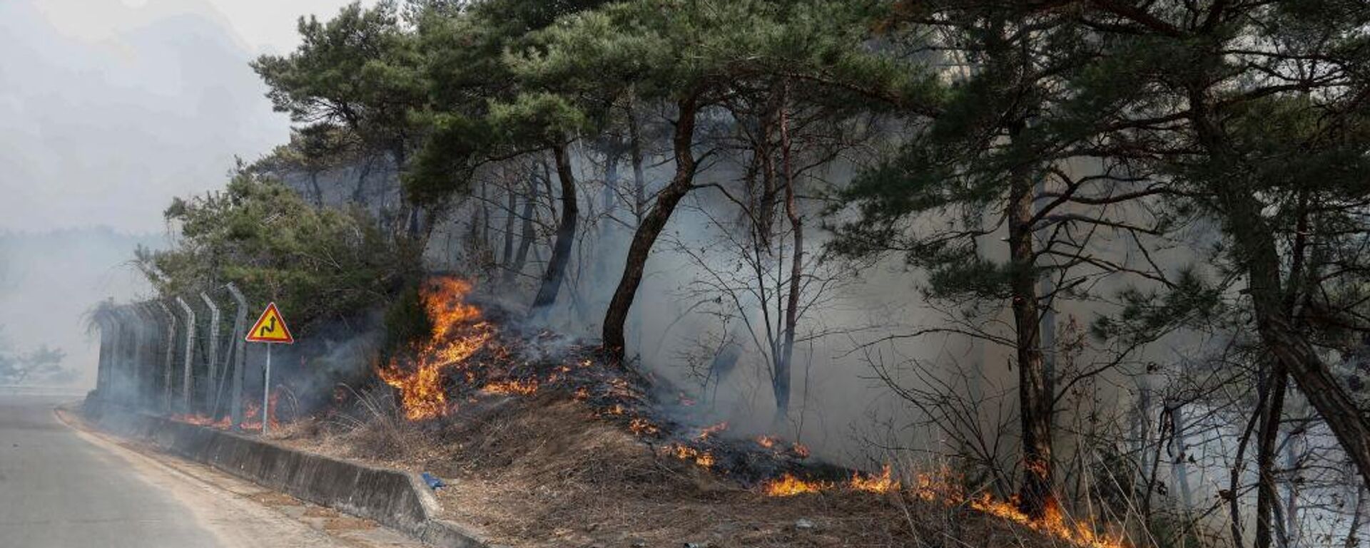 حرائق الغابات في كوريا الجنوبية - سبوتنيك عربي, 1920, 25.03.2025