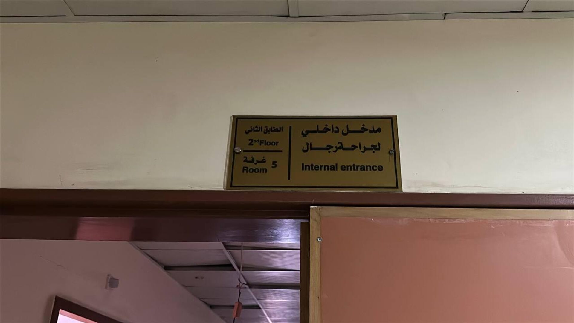 استهداف مشفى ناصر الطبي يفاقم أزمة القطاع الصحي في غزة - سبوتنيك عربي, 1920, 27.03.2025