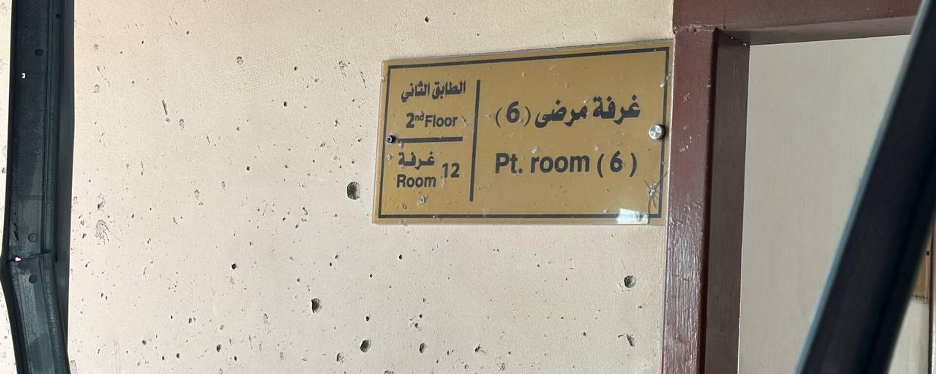 استهداف مشفى ناصر الطبي يفاقم أزمة القطاع الصحي في غزة - سبوتنيك عربي, 1920, 25.08.2025