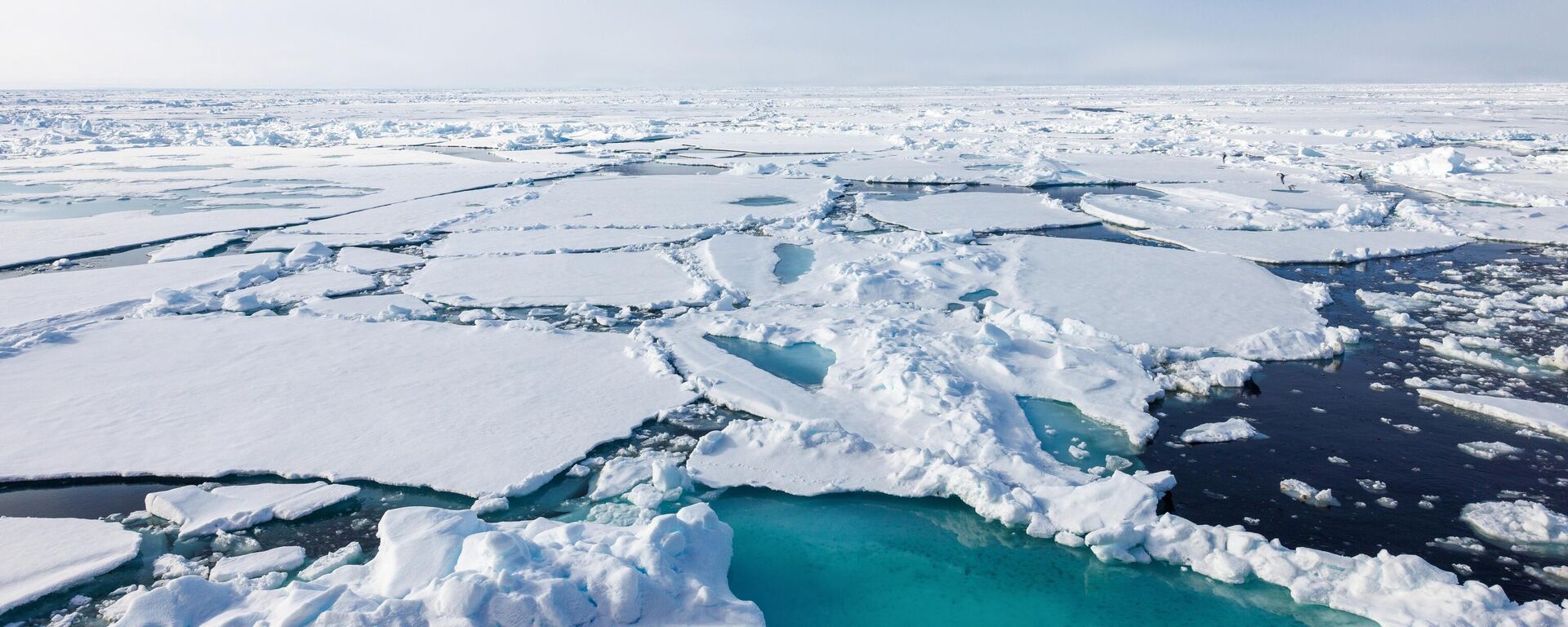 رحلة استكشافية إلى القطب الشمالي على متن كاسحة الجليد النووية - سبوتنيك عربي, 1920, 27.03.2025
