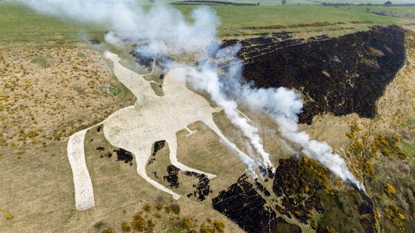 صورة جوية لعملية حرق مُحكمة لنصب أوسمينغتون الطباشيري في "وايت هورس هيل"، للحفاظ على الشكل التقليدي لهذا المعلم التاريخي في ويماوث، المملكة المتحدة. - سبوتنيك عربي