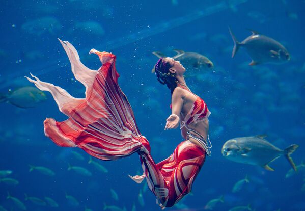 متسابقة من هونغ كونغ الصينية تتنافس في النهائي الكبير لبطولة الصين المفتوحة لحوريات البحر لعام 2024 - سبوتنيك عربي