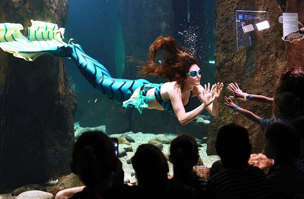 يشاهد الزوار عرضا تحت الماء بمناسبة يوم البحار في موسكو. - سبوتنيك عربي