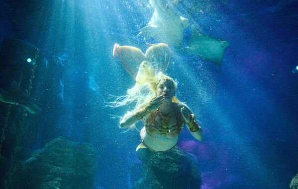 تغطس الممثلة دانييلا رودلر بلباس "حورية البحر" في حوض السباحة الأطلسي في "سي لايف" ببرلين بينما يسبح خلفها اثنان من أسماك الشفنين النسرية. - سبوتنيك عربي