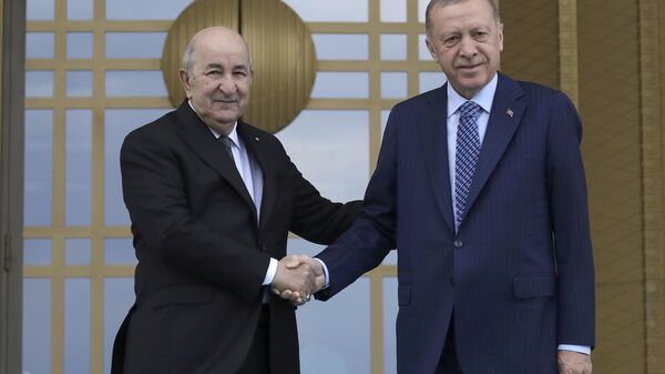 الرئيسان تبون وأردوغان - سبوتنيك عربي