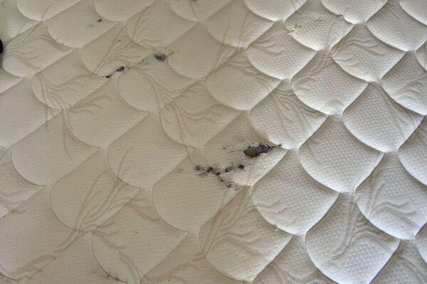 عدسة سبوتنيك توثّق آثار الدمار الذي خلفه الجيش الإسرائيلي في بلدات الجنوب اللبناني - سبوتنيك عربي