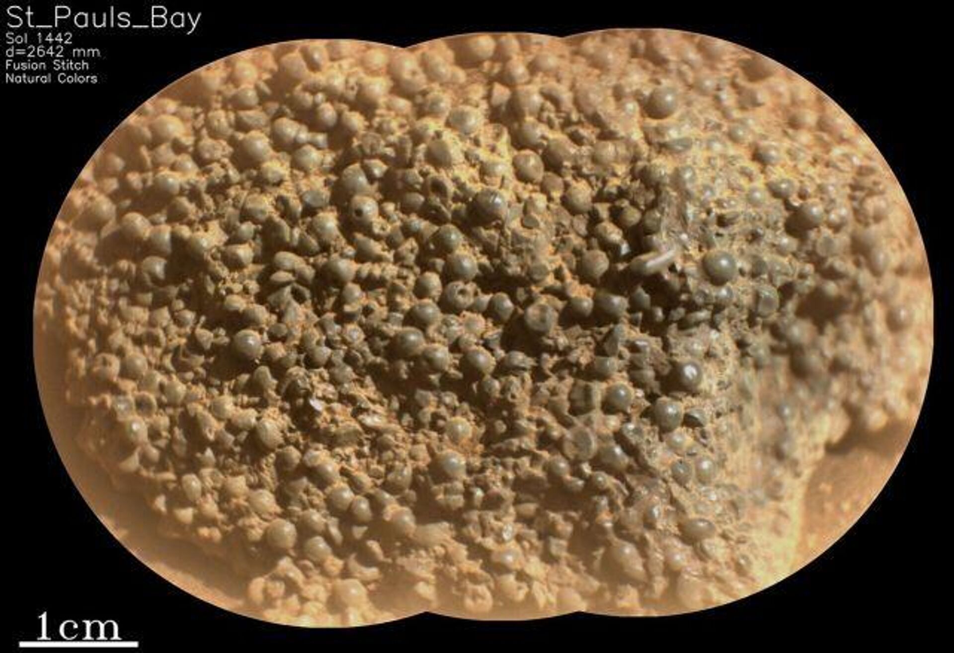 صورة لصخرة غريبة تم اكتشافها على سطح المريخ  - سبوتنيك عربي, 1920, 31.03.2025