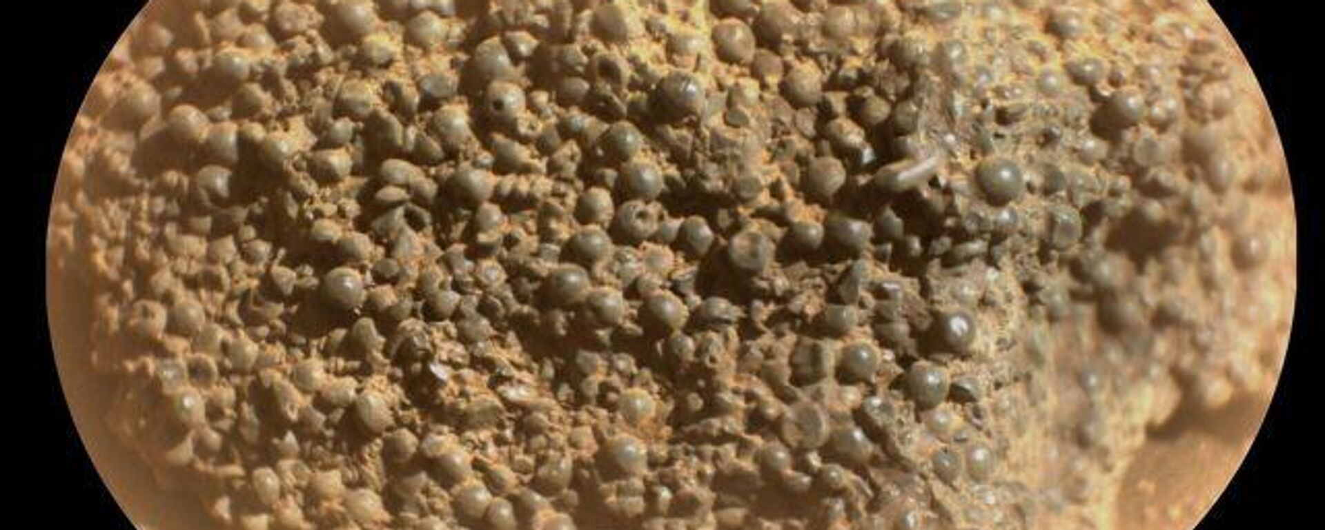 صورة لصخرة غريبة تم اكتشافها على سطح المريخ  - سبوتنيك عربي, 1920, 11.09.2025