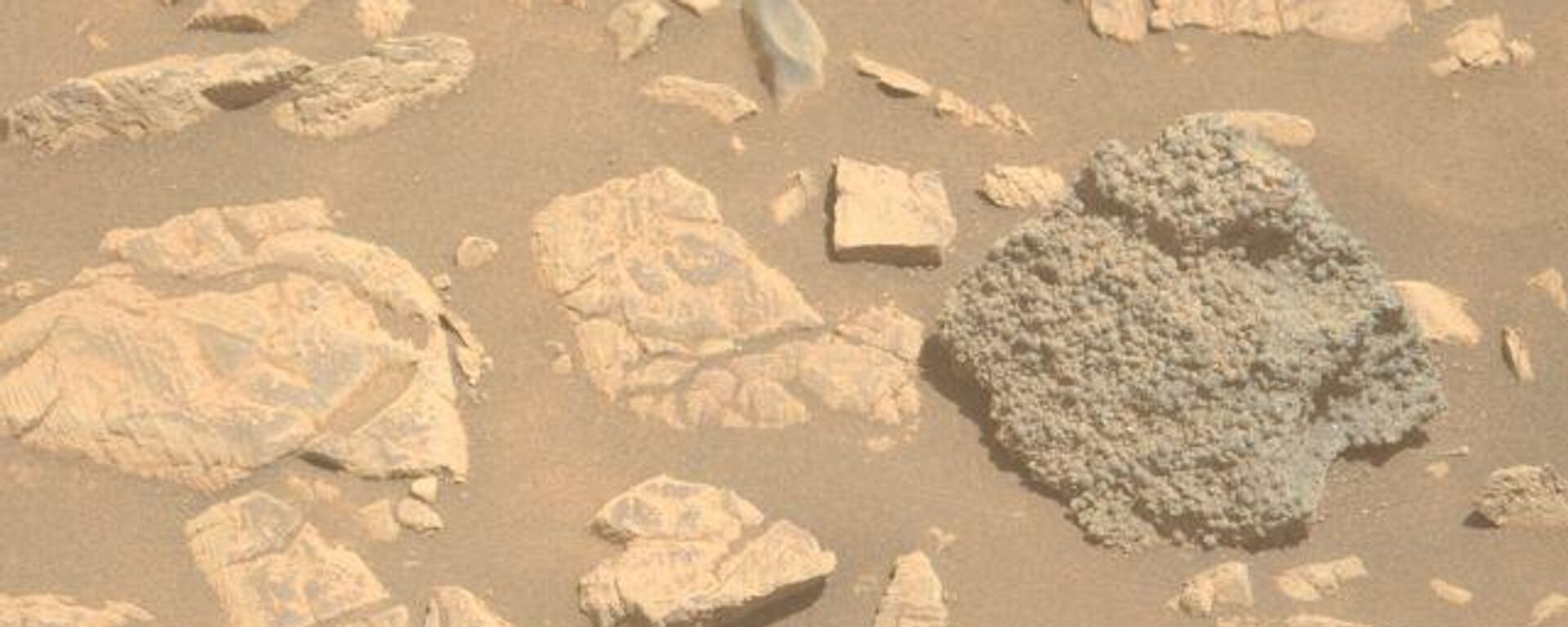 صورة لصخرة غريبة تم اكتشافها على سطح المريخ  - سبوتنيك عربي, 1920, 20.04.2025