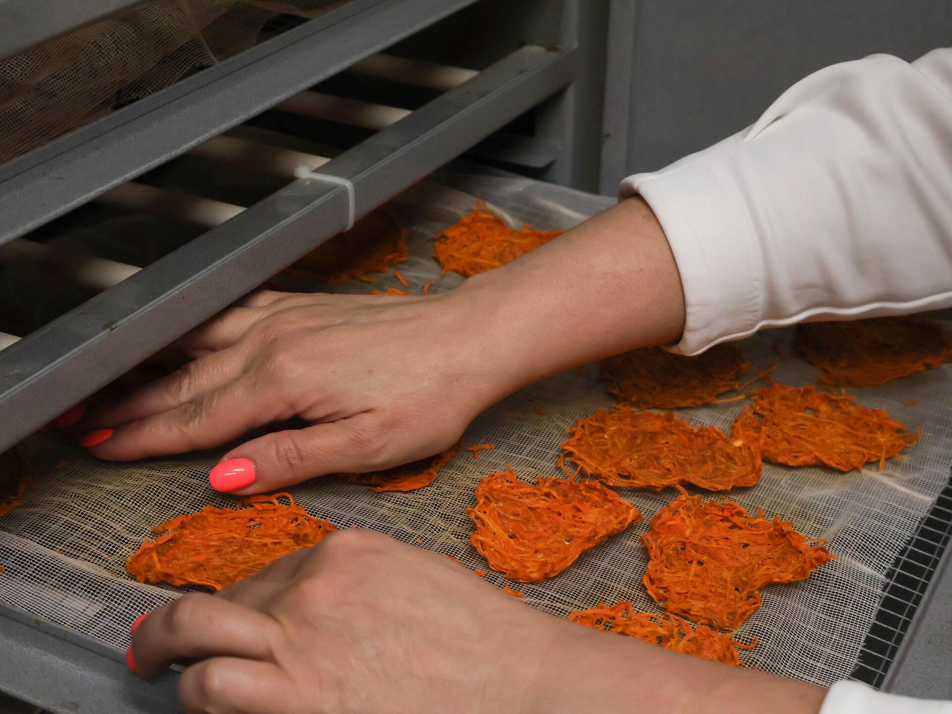 بسكويت بخصائص الخضروات والفواكه الطازجة - سبوتنيك عربي, 1920, 31.03.2025