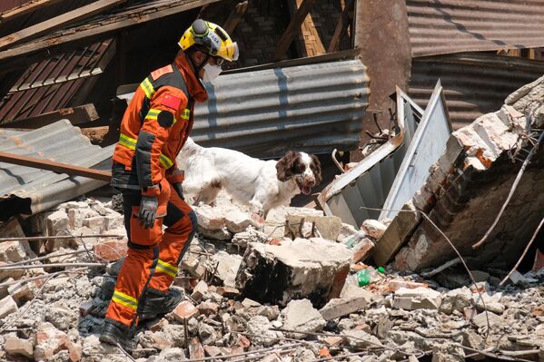عامل إنقاذ من هونغ كونغ مع كلب بوليسي يشارك في عملية البحث والإنقاذ بعد الزلزال الذي ضرب ماندالاي، ميانمار. - سبوتنيك عربي