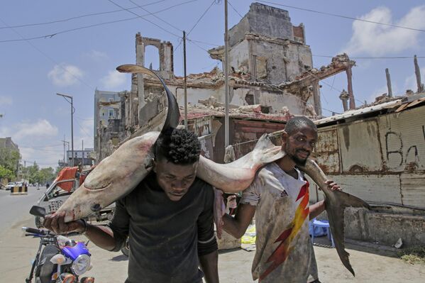 صيادون يحملون سمكة تونة على ظهورهم إلى السوق في مقديشو، الصومال. - سبوتنيك عربي