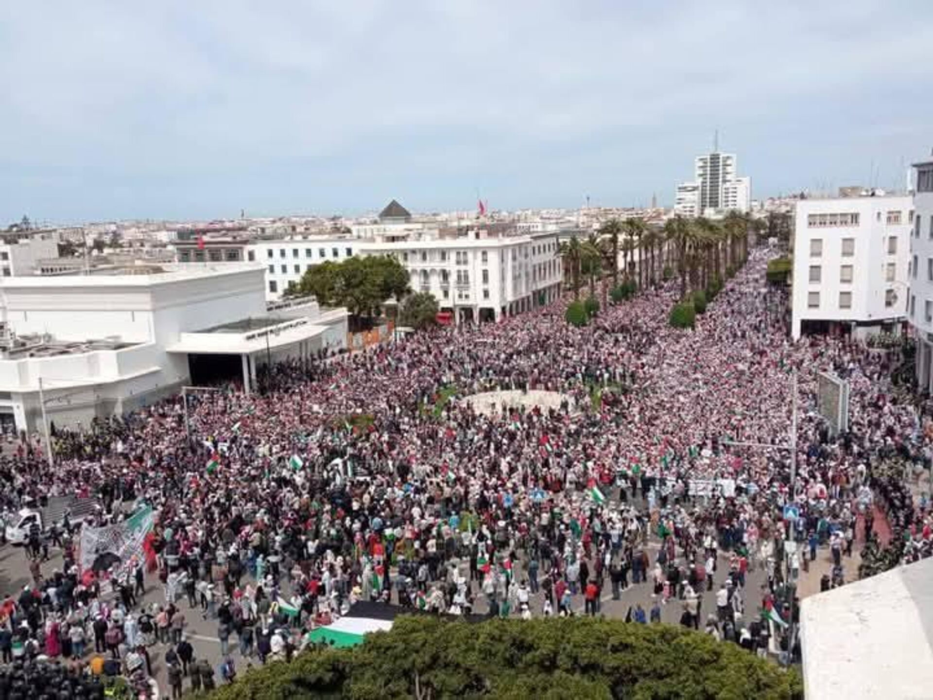 مسيرة تضامنية في المغرب تضامنا مع غزة مسيرة تضامنية في المغرب تضامنا مع غزة - سبوتنيك عربي, 1920, 06.04.2025