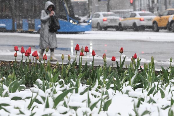 فتاة في شوارع موسكو أثناء تساقط الثلوج - سبوتنيك عربي