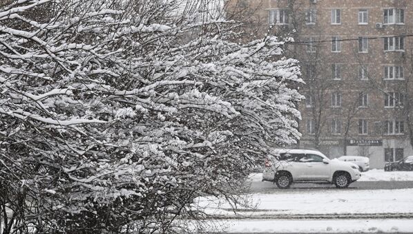 تساقط الثلوج في شهر أبريل الجاري في العاصمة الروسية موسكو - سبوتنيك عربي