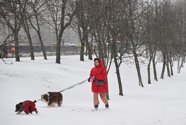 امرأة تمشي مع كلبيها أثناء تساقط الثلوج في حديقة بمنطقة "لينينسكي بروسبكت" في العاصمة موسكو - سبوتنيك عربي