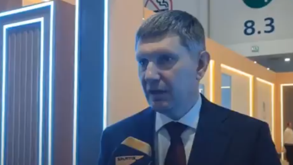 وزير التنمية الاقتصادية الروسي، مكسيم ريشيتنيكوف - سبوتنيك عربي