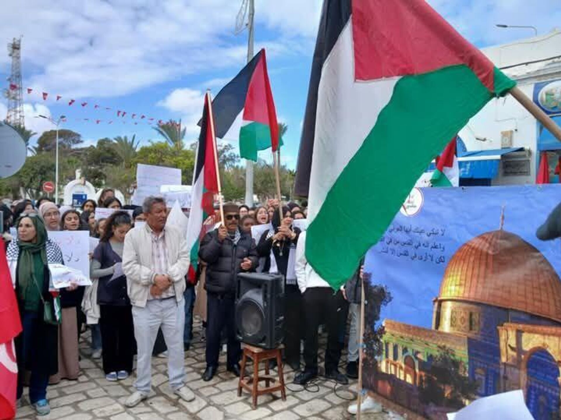 الجامعات التونسية تنظم إضرابا عاما تضامنا مع غزة - سبوتنيك عربي, 1920, 08.04.2025