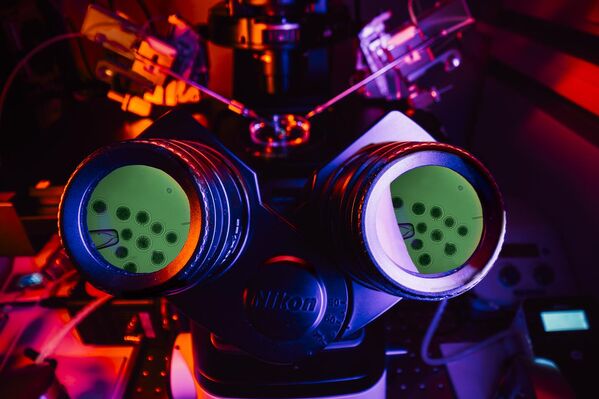 مختبر العلوم البيولوجية الضخم، حيث أعلنت شركة "كولوسال بيوساينسز"، الشركة الوحيدة في العالم المتخصصة في إحياء الأنواع المنقرضة، عن إعادة إحياء ذئب رهيب كان منقرضًا، ليصبح بذلك أول حيوان يُعاد إحياؤه بنجاح في العالم، وكان الذئب الرهيب، الذي يُعتقد على نطاق واسع أنه مخلوق أسطوري اشتهر من مسلسل "صراع العروش"، وهو من فصيلة الكلاب الأمريكية التي انقرضت منذ أكثر من 12,500 عام. - سبوتنيك عربي