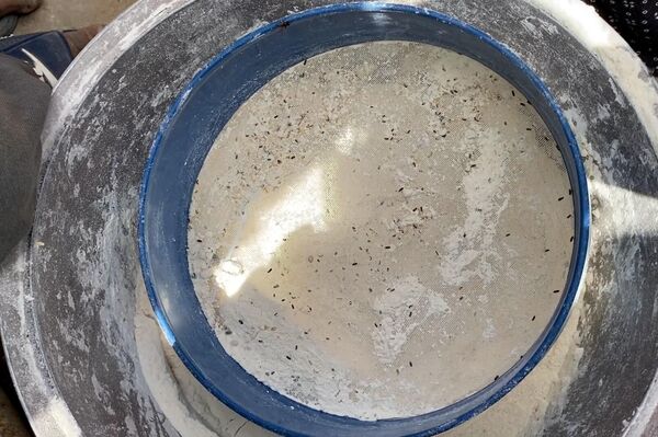 نازحون في غزة يواجهون الجوع والمرض وسط مكب النفايات  - سبوتنيك عربي