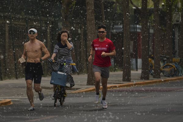 امرأة على دراجة هوائية تمر بين عدائين عبر أزهار متطايرة في بكين، الصين - سبوتنيك عربي
