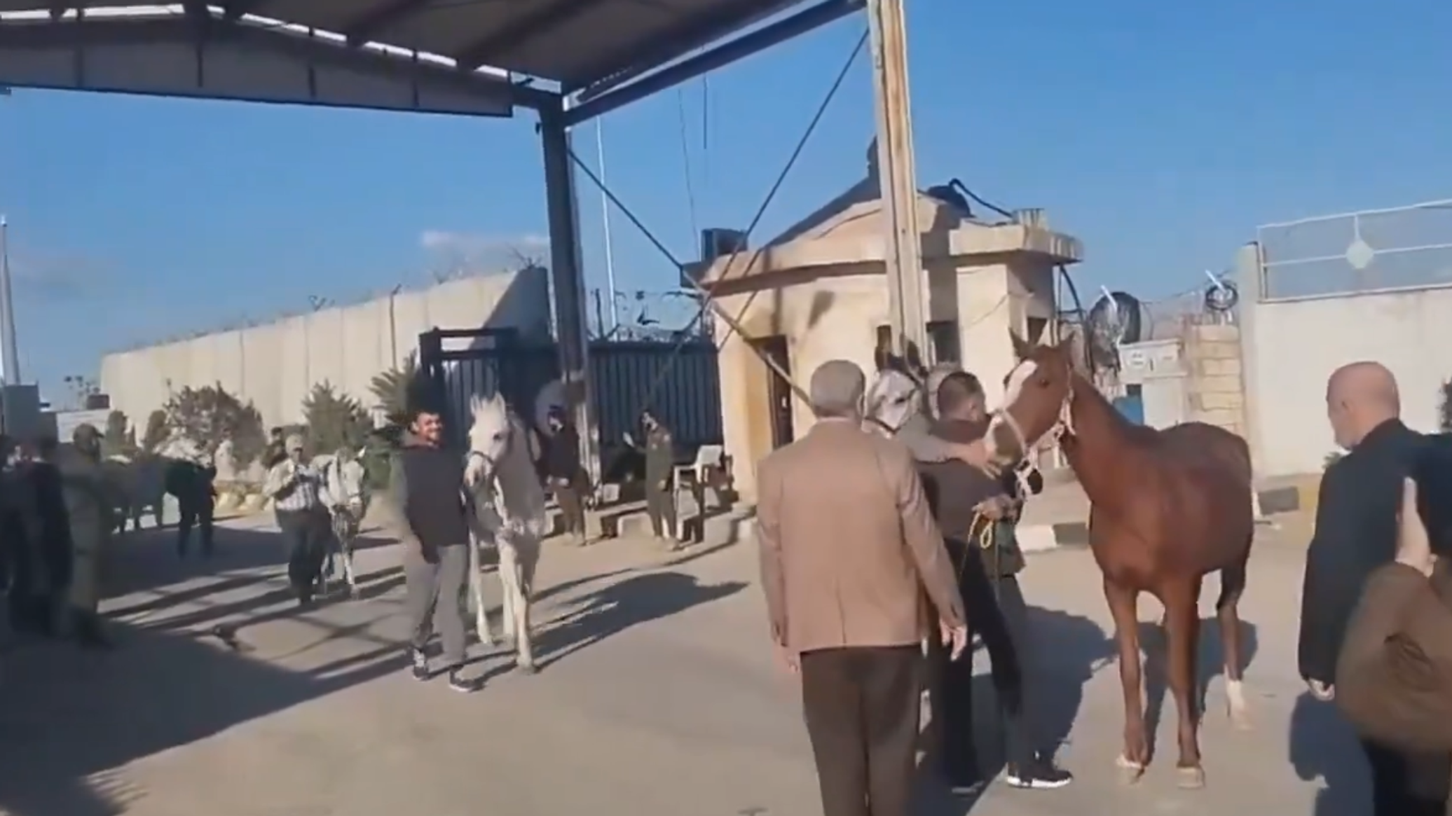على ظهور الخيل.. حجاج من دولة أوروبية يصلون إلى سوريا في طريقهم إلى مكة المكرمة.. فيديو