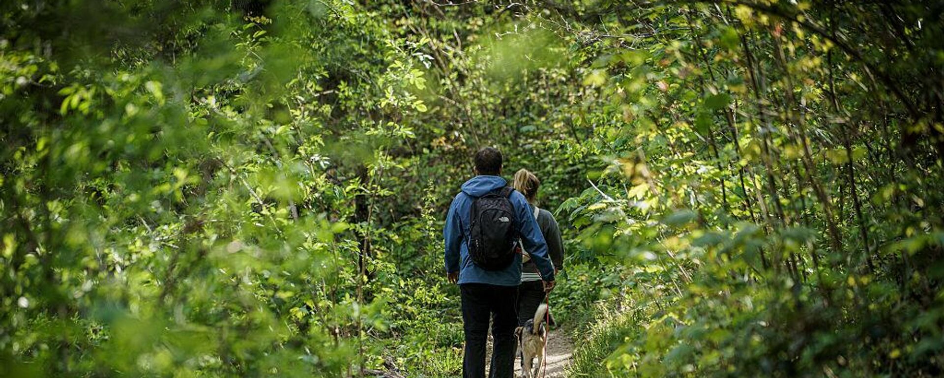 الاستمتاع بالطبيعة - سبوتنيك عربي, 1920, 13.04.2025