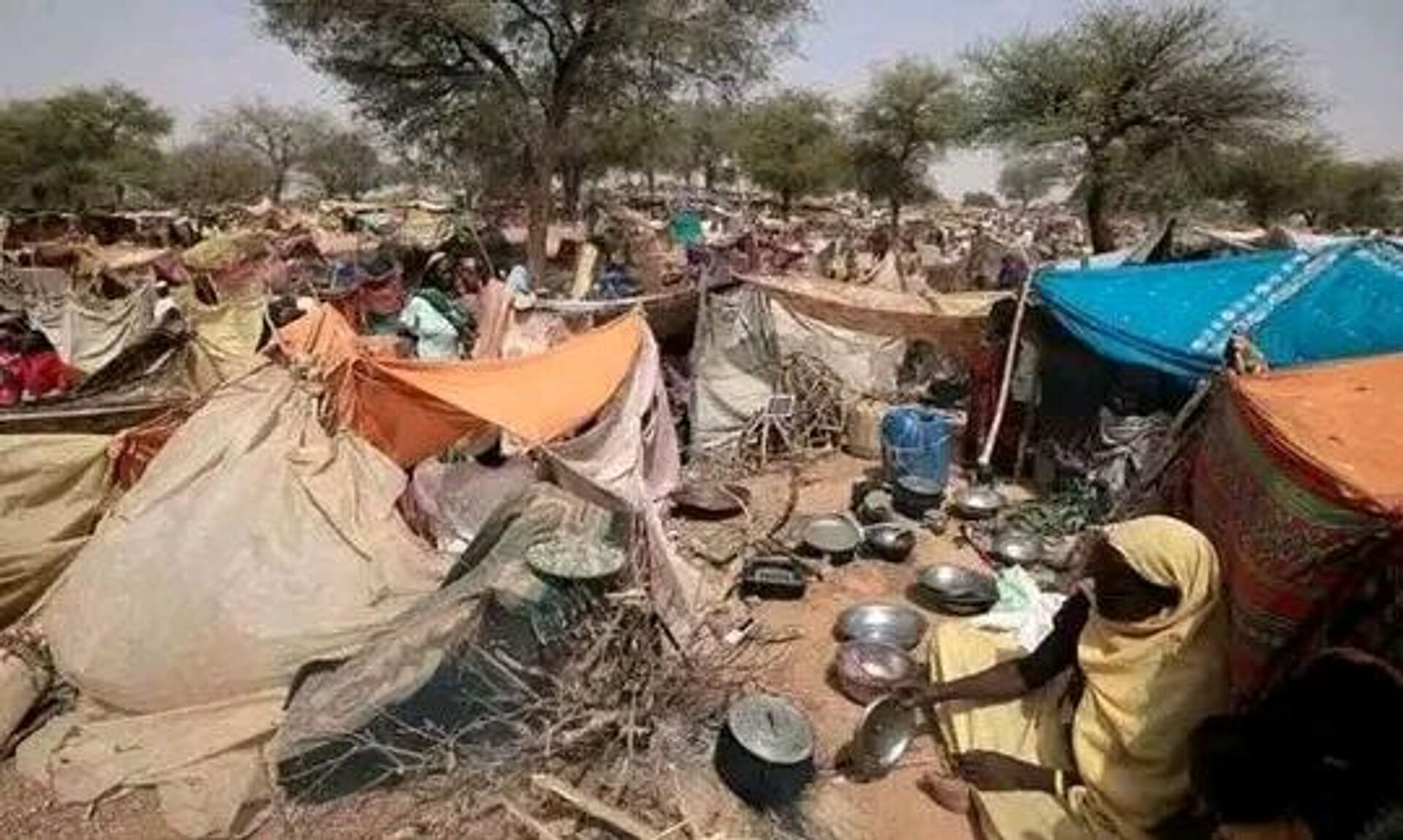 الأزمة الإنسانية في السودان بسبب الحرب - سبوتنيك عربي, 1920, 15.04.2025