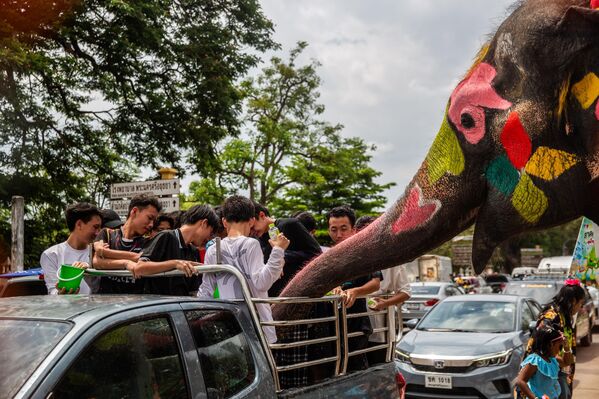 الأفيال ترحب بالسكان المحليين خلال مهرجان سونغكران في تايلاند - سبوتنيك عربي