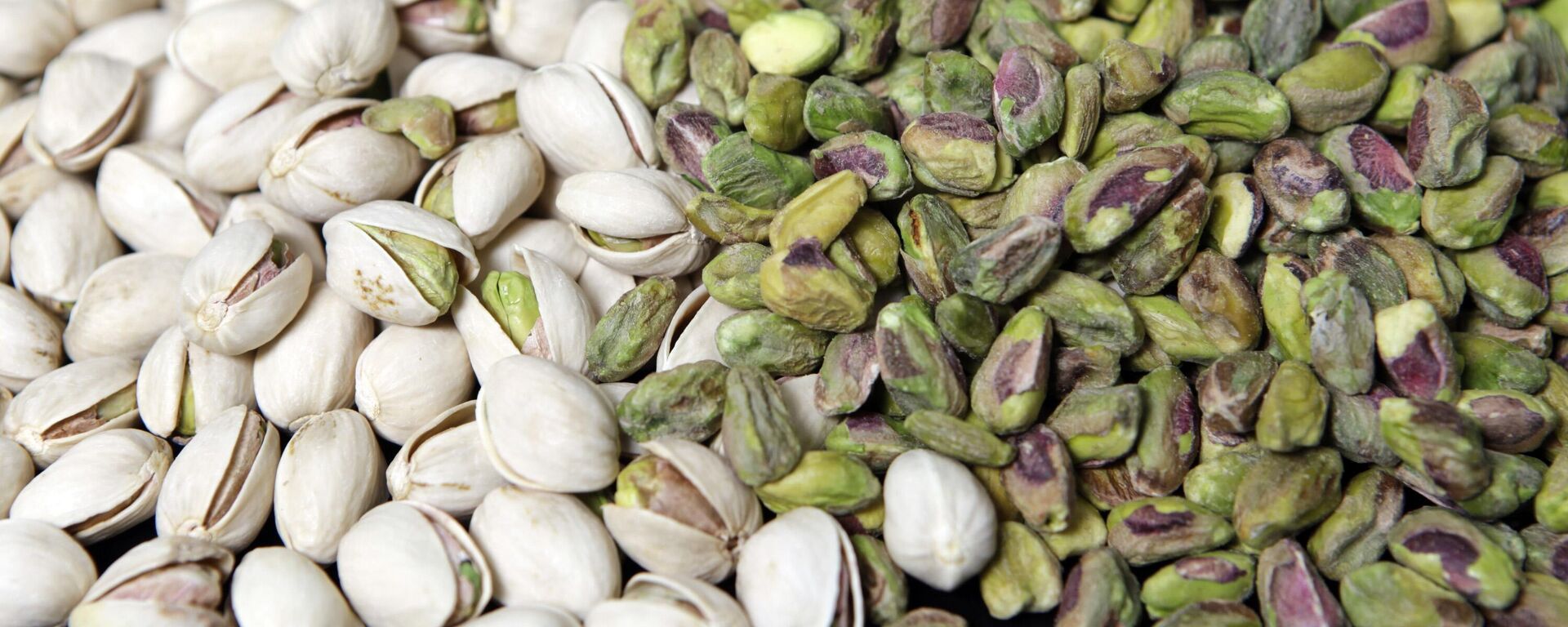 الفستق - سبوتنيك عربي, 1920, 19.05.2025