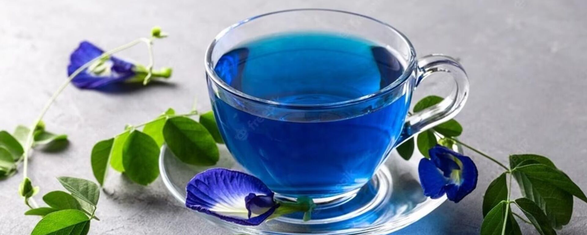 10 فوائد لا تصدق لـ الشاي الأزرق - سبوتنيك عربي, 1920, 21.04.2025