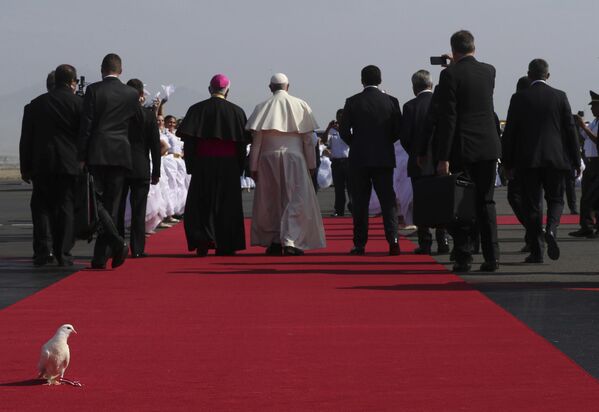 حمامة أُطلقت لدى وصول البابا فرنسيس، تحط على جزء من سجادة حمراء في مطار تروخيو، بالبيرو. - سبوتنيك عربي