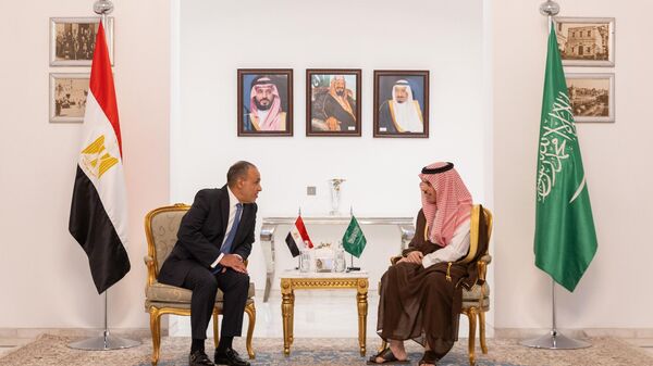 اجتماه لجنة المتابعة والتشاور السياسي بين جمهورية مصر العربية والمملكة العربية السعودية في الرياض برئاسة وزير الخارجية المصري بدر عبد العاطي ووزير الخارجية السعودي فيصل بن فرحان - سبوتنيك عربي