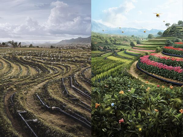 الخيار لنا، بين مساحات خضراء خصبة تعج فيها الحياة، وأخرى قاحلة. - سبوتنيك عربي