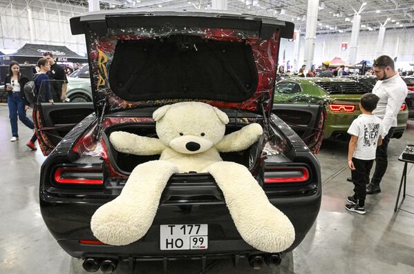 دمية على شكل دب في سيارة "دودج تشالنجر" في معرض للسيارات بمركز "باتريوت" للمعارض والمؤتمرات - سبوتنيك عربي