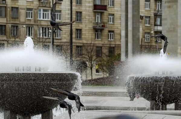 نافورة "كأس المعرفة" بالقرب من مبنى المكتبة الوطنية الروسية في سانت بطرسبورغ.  - سبوتنيك عربي
