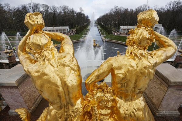 صورة جميلة لنوافير متحف "بيترهوف". - سبوتنيك عربي