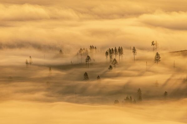 المناظر الطبيعية، في السويد، بعدسة هانيكي فان، بي إي. - سبوتنيك عربي