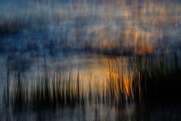  التصوير الفوتوغرافي الطويل التعريض يوحد حركات الأمواج والقصب والكاميرا في صورة مجردة للطبيعة، بعدسة كاتيا مانسكي. - سبوتنيك عربي