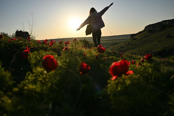سائحة تستمتع بجمال الطبيعة في منطقة بيلوغورسك في شبه جزيرة القرم. - سبوتنيك عربي