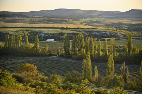 صورة تظهر اَلية تسيرعلى طريق تلفها المساحات الخضراء من كل جانب.  - سبوتنيك عربي