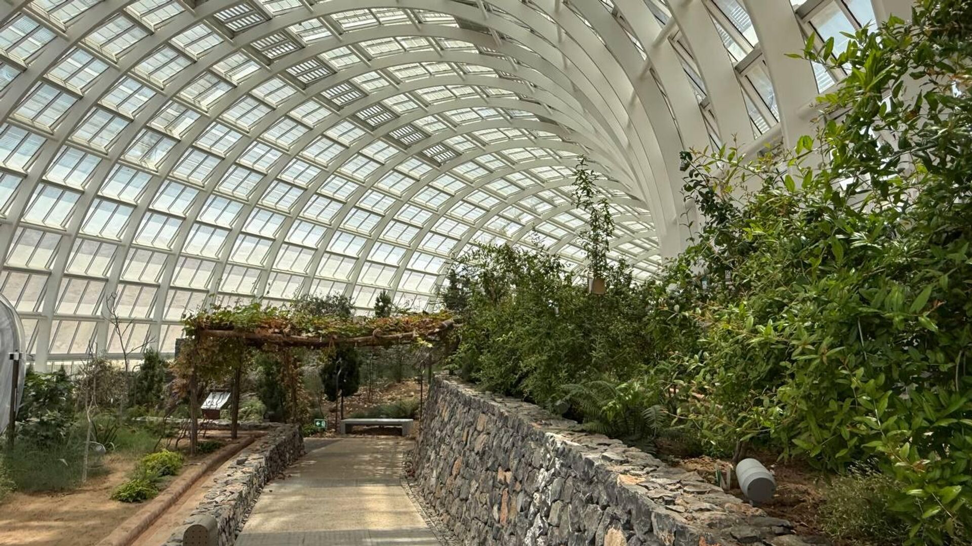 حديقة النباتات العمانية.. مشروع وطني رائد يحتفي بأهم المقومات الطبيعية للسلطنة حديقة النباتات العمانية.. مشروع وطني رائد يحتفي بأهم المقومات الطبيعية للسلطنة - سبوتنيك عربي, 1920, 01.05.2025